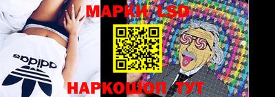 прущие грибы Дубна