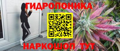 прущие грибы Дубна