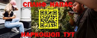 прущие грибы Дубна