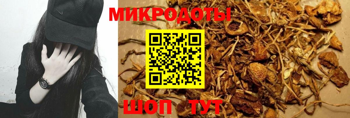 Майкоп  Галлюциногенные грибы мицелий  Вход с VPN  Галлюциногенные грибы прущие грибы 